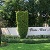 Pines West Photos
